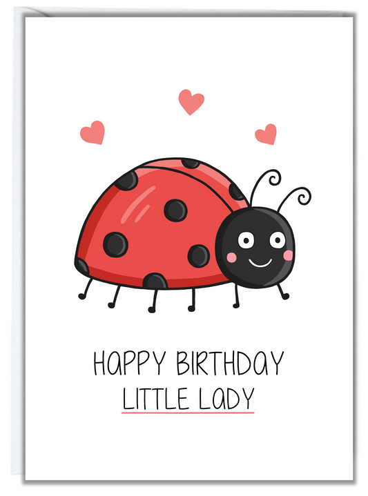 Ladybird Birthday Card